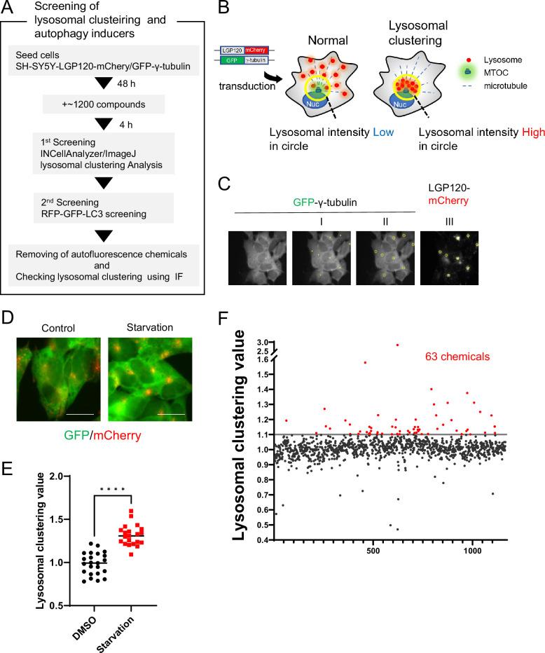 https://cdn.ncbi.nlm.nih.gov/pmc/blobs/47c2/11221835/8bb0ce634dab/elife-98649-fig1.jpg