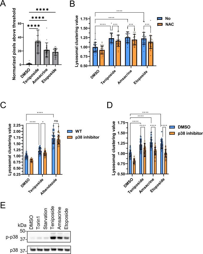 https://cdn.ncbi.nlm.nih.gov/pmc/blobs/47c2/11221835/ec1b6b734e6c/elife-98649-fig9.jpg