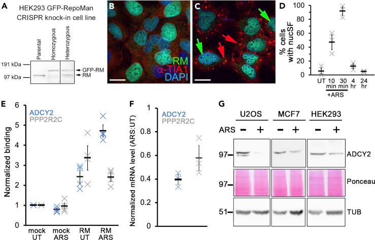 https://cdn.ncbi.nlm.nih.gov/pmc/blobs/47c5/7586129/8de5ef56c29a/gr3.jpg