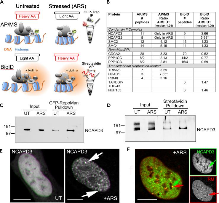 https://cdn.ncbi.nlm.nih.gov/pmc/blobs/47c5/7586129/9bd748eb4b33/gr4.jpg