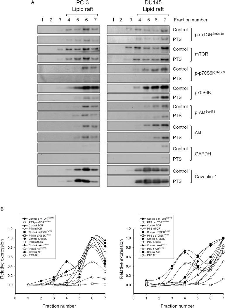 https://cdn.ncbi.nlm.nih.gov/pmc/blobs/47c7/6282052/13c7d2422650/fphar-09-01223-g005.jpg