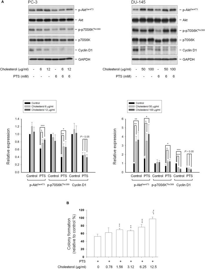 https://cdn.ncbi.nlm.nih.gov/pmc/blobs/47c7/6282052/e96a6c0f6977/fphar-09-01223-g006.jpg