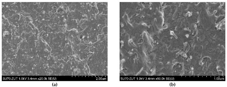 https://cdn.ncbi.nlm.nih.gov/pmc/blobs/47c7/7362208/4aeb222e8207/polymers-12-01356-g003a.jpg