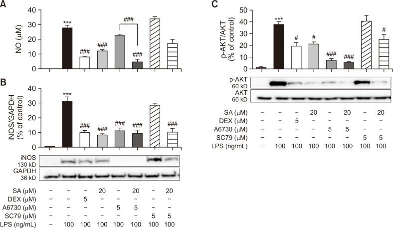 https://cdn.ncbi.nlm.nih.gov/pmc/blobs/47c8/10129858/7e996d3e5b32/bt-31-3-276-f4.jpg