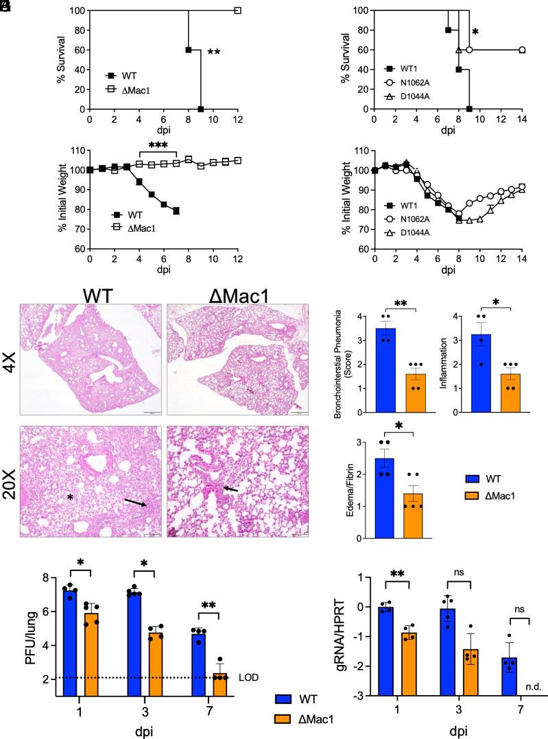 https://cdn.ncbi.nlm.nih.gov/pmc/blobs/47c9/10468617/88a2e167fbf2/pnas.2302083120fig05.jpg