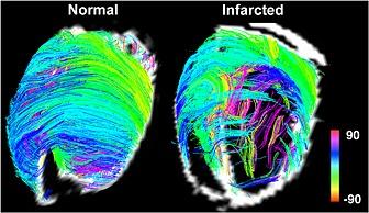 https://cdn.ncbi.nlm.nih.gov/pmc/blobs/47c9/5333463/9a6592f46082/NBM-30-na-g012.jpg