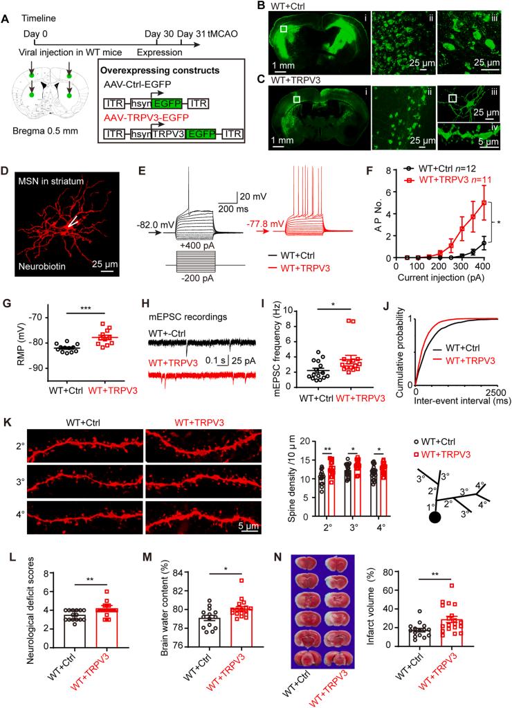https://cdn.ncbi.nlm.nih.gov/pmc/blobs/47ca/9136580/23974eec4093/gr4.jpg