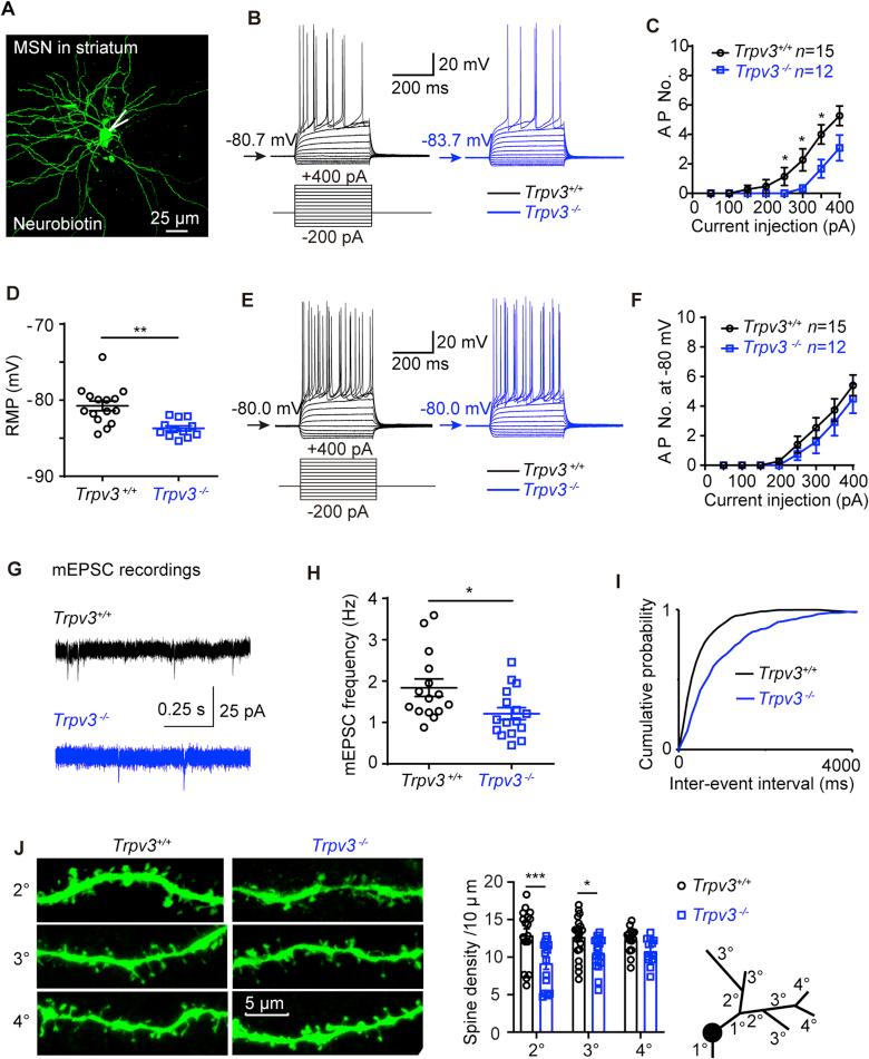 https://cdn.ncbi.nlm.nih.gov/pmc/blobs/47ca/9136580/242212119182/gr3.jpg
