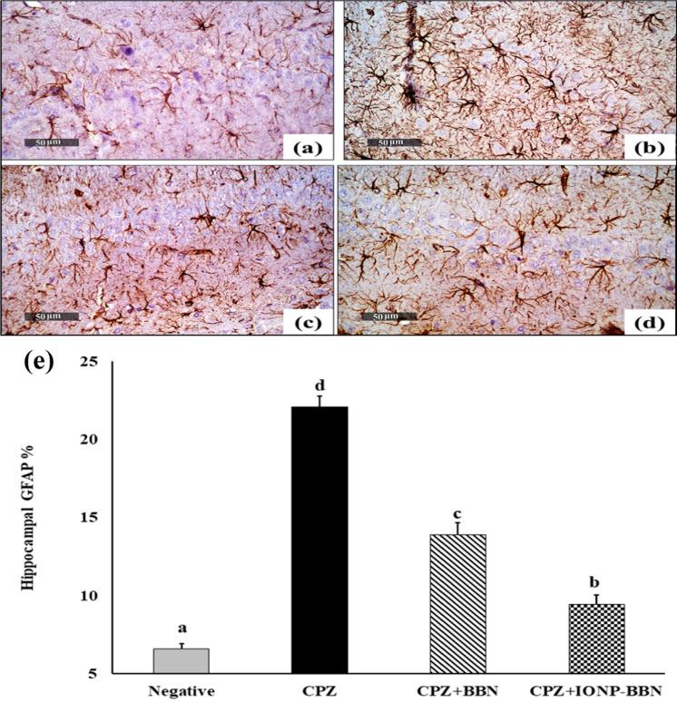 https://cdn.ncbi.nlm.nih.gov/pmc/blobs/47cd/11754386/1b631d4f186a/10534_2024_648_Fig13_HTML.jpg