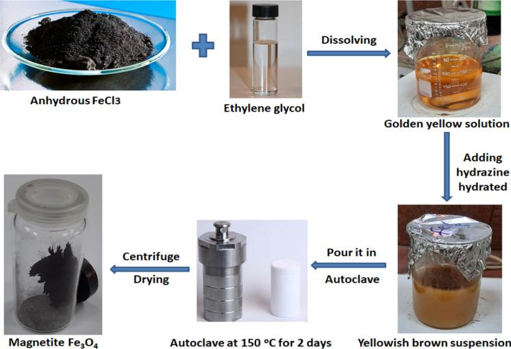 https://cdn.ncbi.nlm.nih.gov/pmc/blobs/47cd/11754386/ea182a7b4363/10534_2024_648_Fig1_HTML.jpg