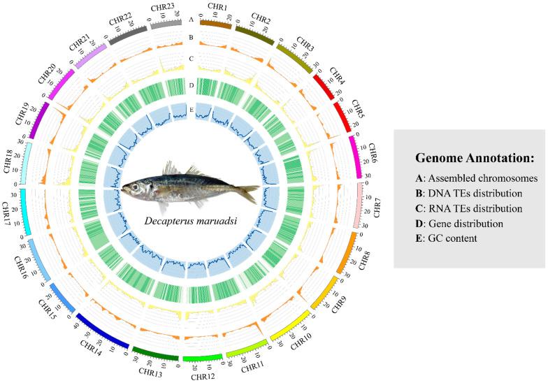 https://cdn.ncbi.nlm.nih.gov/pmc/blobs/47cf/11047736/3619b8eec6c4/animals-14-01202-g003.jpg