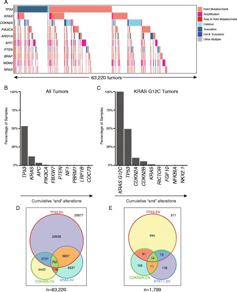 https://cdn.ncbi.nlm.nih.gov/pmc/blobs/47cf/5324279/7b93e30a60b6/13073_2017_408_Fig1_HTML.jpg