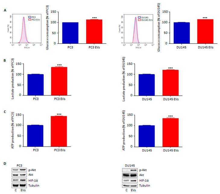 https://cdn.ncbi.nlm.nih.gov/pmc/blobs/47cf/9368412/991a42d168ed/cells-11-02388-g005.jpg