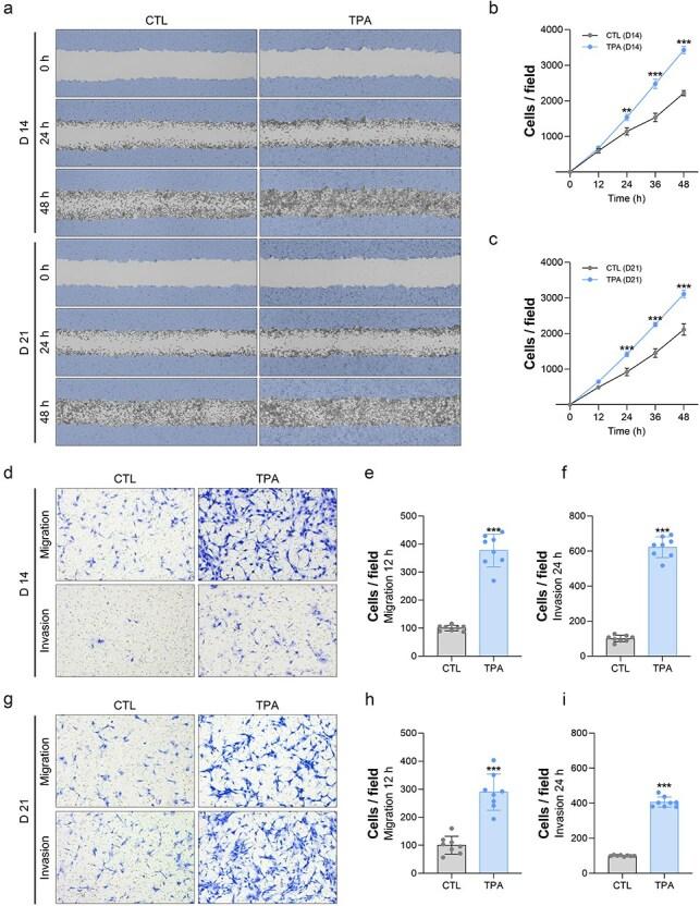https://cdn.ncbi.nlm.nih.gov/pmc/blobs/47d0/11967402/4ecfc1728214/dvaf005f2.jpg