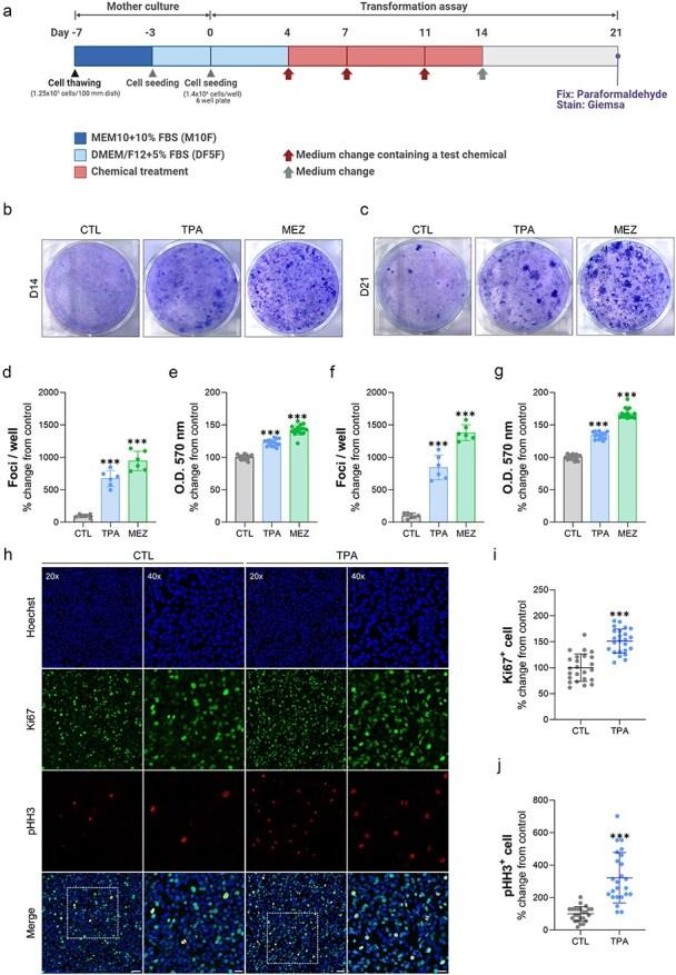 https://cdn.ncbi.nlm.nih.gov/pmc/blobs/47d0/11967402/b37ad25c7ea8/dvaf005f1.jpg
