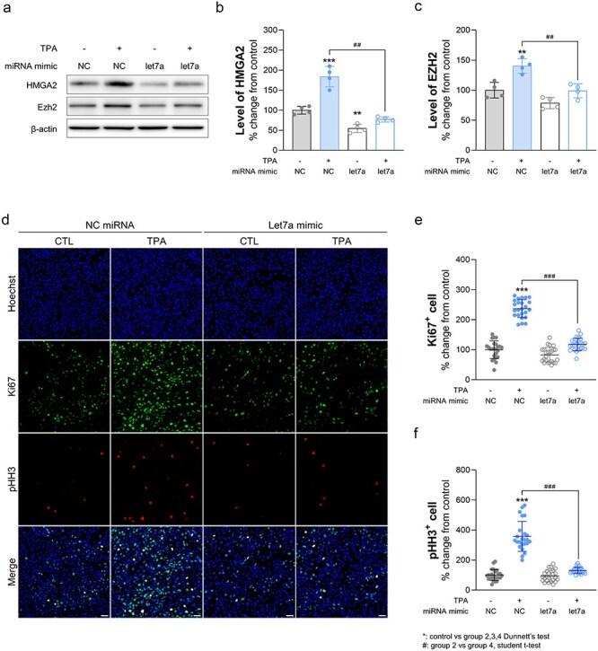 https://cdn.ncbi.nlm.nih.gov/pmc/blobs/47d0/11967402/d6b702a2cd31/dvaf005f6.jpg