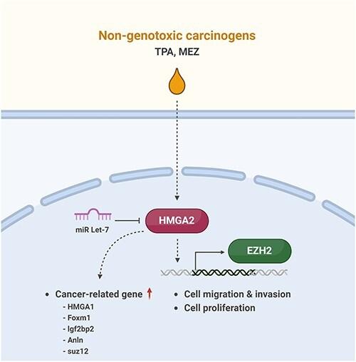 https://cdn.ncbi.nlm.nih.gov/pmc/blobs/47d0/11967402/edf52072d16f/dvaf005f7.jpg