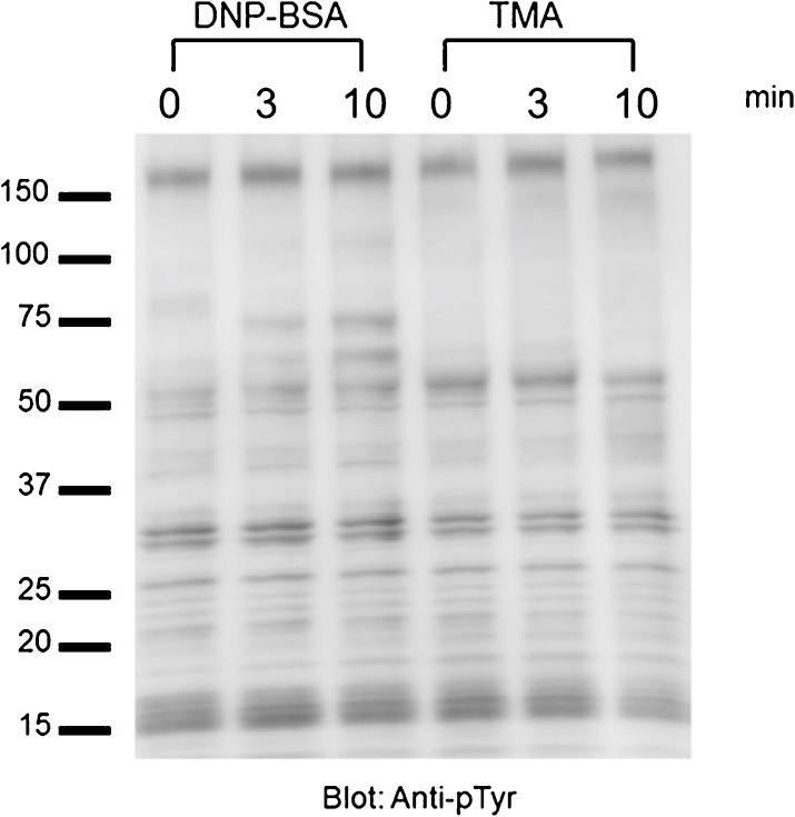https://cdn.ncbi.nlm.nih.gov/pmc/blobs/47d1/5616080/85003dcfb959/gr2.jpg