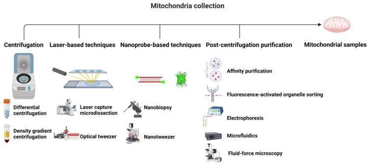 https://cdn.ncbi.nlm.nih.gov/pmc/blobs/47d2/12388354/8d2268fc73ca/metabolites-15-00513-g001.jpg