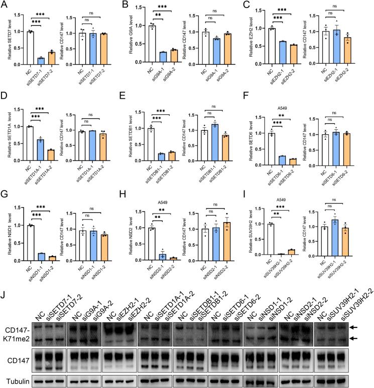 https://cdn.ncbi.nlm.nih.gov/pmc/blobs/47d4/10491884/4fee530df3ba/gr2.jpg