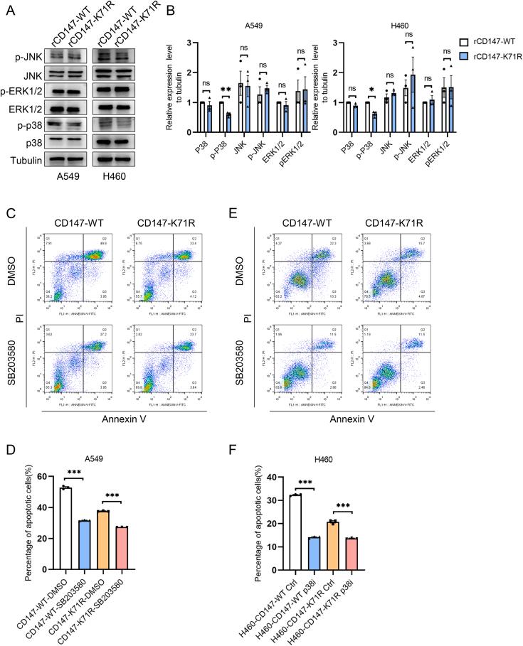 https://cdn.ncbi.nlm.nih.gov/pmc/blobs/47d4/10491884/6dda6eefd41d/gr5.jpg