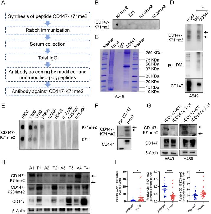 https://cdn.ncbi.nlm.nih.gov/pmc/blobs/47d4/10491884/a3a575519bee/gr1.jpg