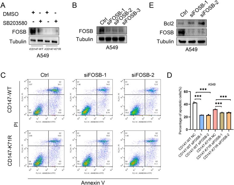 https://cdn.ncbi.nlm.nih.gov/pmc/blobs/47d4/10491884/aaa5ce839479/gr6.jpg