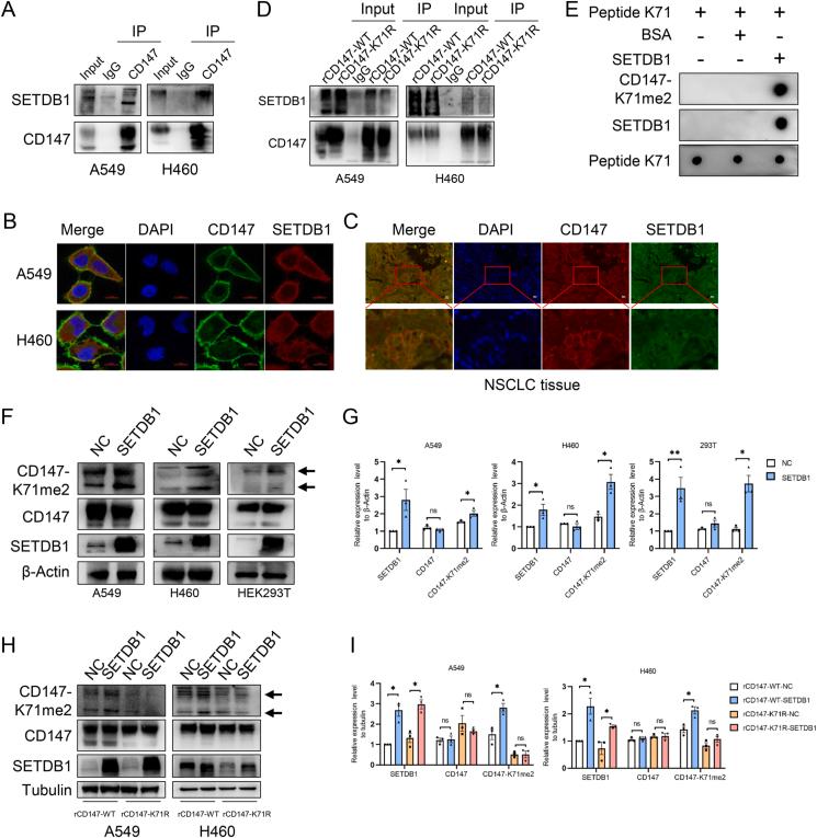 https://cdn.ncbi.nlm.nih.gov/pmc/blobs/47d4/10491884/cfd2b15fcce9/gr3.jpg