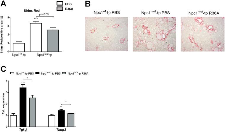 https://cdn.ncbi.nlm.nih.gov/pmc/blobs/47d4/5624963/844aa210556e/41598_2017_13058_Fig5_HTML.jpg