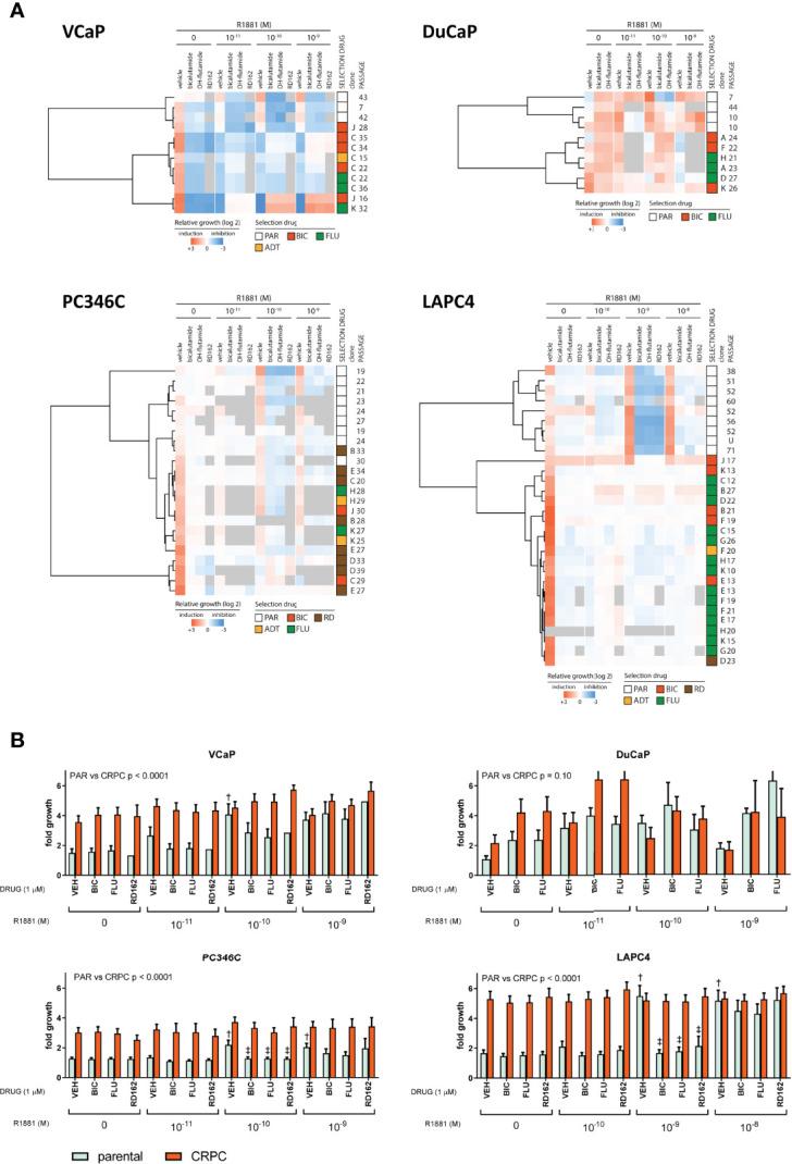 https://cdn.ncbi.nlm.nih.gov/pmc/blobs/47d4/9234122/9ed45b42a90a/fonc-12-877613-g002.jpg