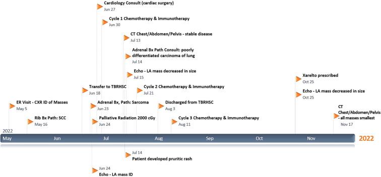https://cdn.ncbi.nlm.nih.gov/pmc/blobs/47db/9902933/7a027ca7cc91/fonc-13-1117024-g001.jpg
