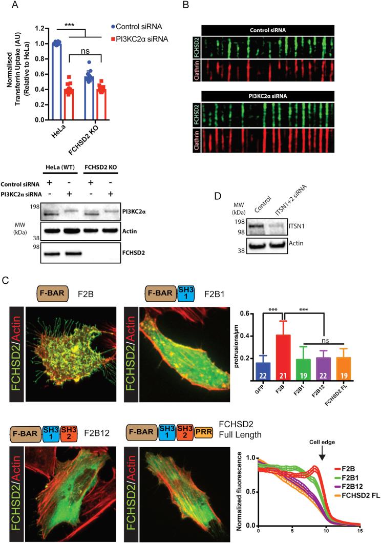 https://cdn.ncbi.nlm.nih.gov/pmc/blobs/47dc/6057269/48f570a97182/figs3.jpg