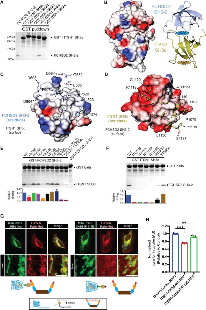 https://cdn.ncbi.nlm.nih.gov/pmc/blobs/47dc/6057269/49f0ba434df9/gr3.jpg
