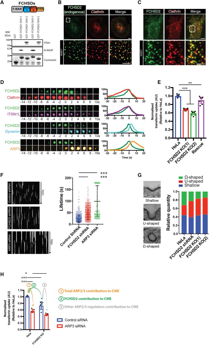 https://cdn.ncbi.nlm.nih.gov/pmc/blobs/47dc/6057269/fc2cce0d55d3/gr1.jpg