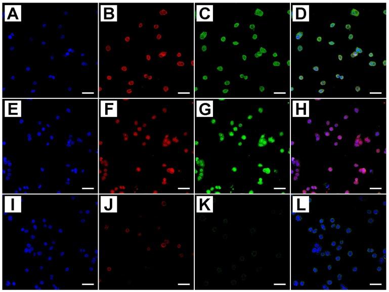 https://cdn.ncbi.nlm.nih.gov/pmc/blobs/47dd/5983851/1bdc8cf3673e/ijms-19-01478-g003.jpg