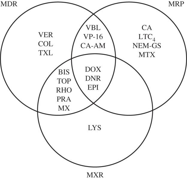 https://cdn.ncbi.nlm.nih.gov/pmc/blobs/47e0/3917363/61ad2b6b251c/rstb20130109-g1.jpg