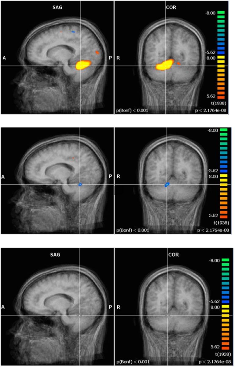 https://cdn.ncbi.nlm.nih.gov/pmc/blobs/47e1/4516358/6f8e0fdc2301/pone.0132024.g005.jpg