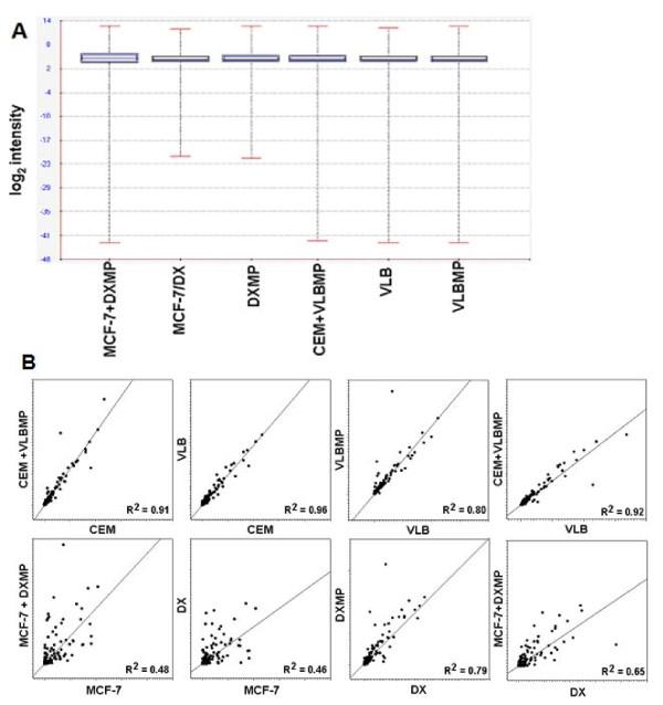 https://cdn.ncbi.nlm.nih.gov/pmc/blobs/47e2/3499176/c46b2c879542/1476-4598-11-37-3.jpg