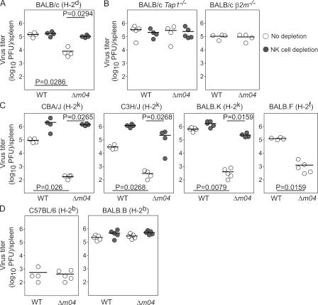 https://cdn.ncbi.nlm.nih.gov/pmc/blobs/47e3/2989764/589dc70924bd/JEM_20100921_GS_Fig1.jpg