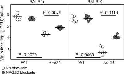 https://cdn.ncbi.nlm.nih.gov/pmc/blobs/47e3/2989764/58a076121155/JEM_20100921_GS_Fig6.jpg