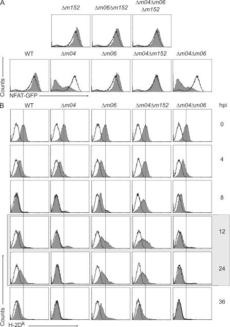 https://cdn.ncbi.nlm.nih.gov/pmc/blobs/47e3/2989764/bd2967fecb1f/JEM_20100921_GS_Fig4.jpg