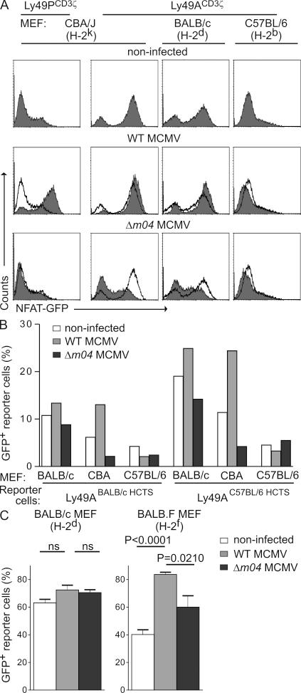 https://cdn.ncbi.nlm.nih.gov/pmc/blobs/47e3/2989764/cb9d6917b76c/JEM_20100921_GS_Fig3.jpg