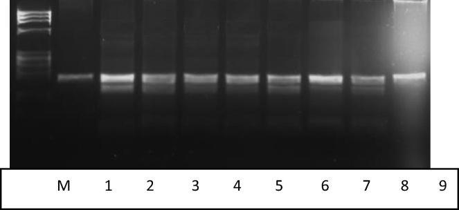 https://cdn.ncbi.nlm.nih.gov/pmc/blobs/47e4/6296602/106700c2619d/gr1.jpg