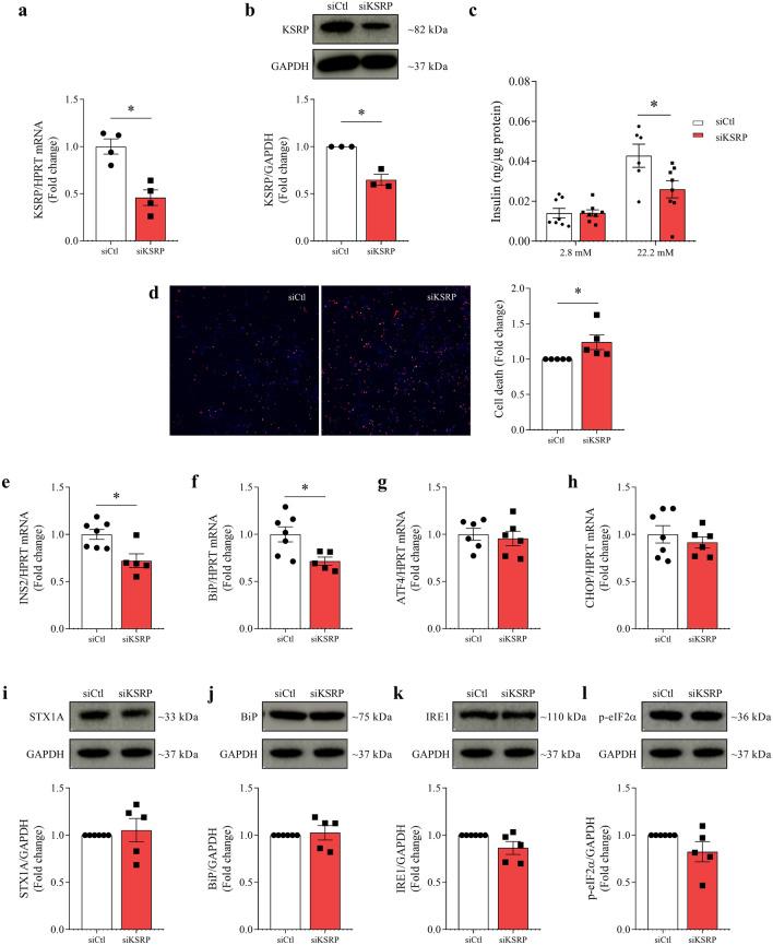 https://cdn.ncbi.nlm.nih.gov/pmc/blobs/47e6/10937633/9676dd389e89/41598_2024_55505_Fig4_HTML.jpg