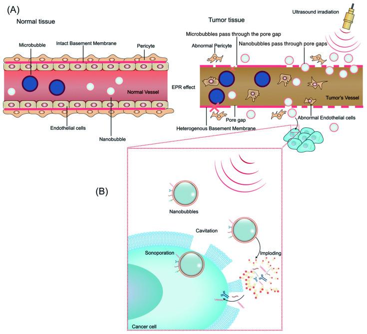 https://cdn.ncbi.nlm.nih.gov/pmc/blobs/47e7/11506587/259b1c6bc925/biomimetics-09-00645-g001.jpg