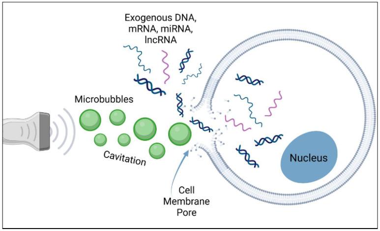 https://cdn.ncbi.nlm.nih.gov/pmc/blobs/47e7/11506587/935706429006/biomimetics-09-00645-g002.jpg