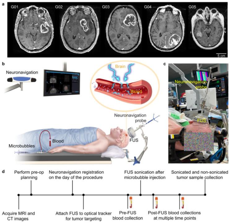 https://cdn.ncbi.nlm.nih.gov/pmc/blobs/47e7/11506587/aba5a0db7155/biomimetics-09-00645-g004.jpg