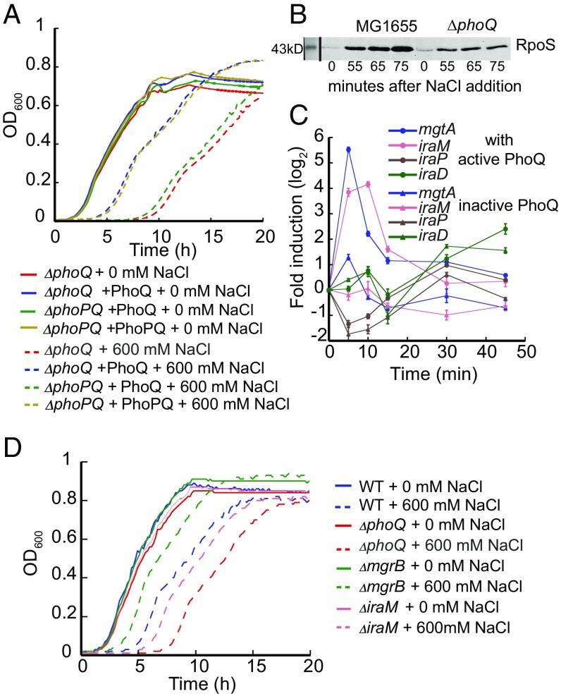 https://cdn.ncbi.nlm.nih.gov/pmc/blobs/47e7/5740661/7eb22c237336/pnas.1717272114fig04.jpg