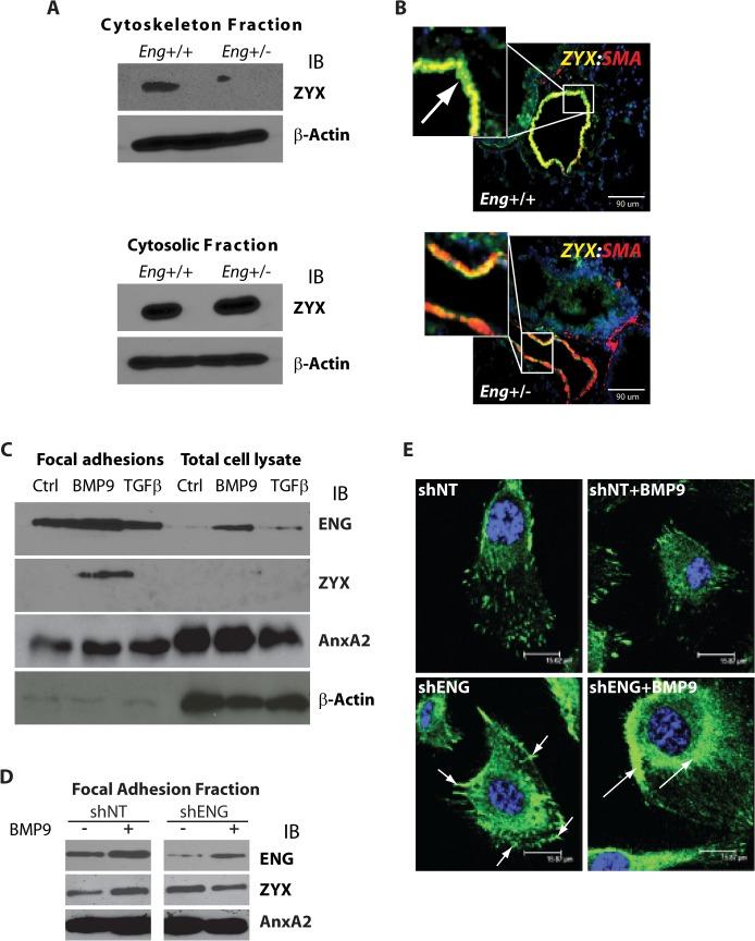 https://cdn.ncbi.nlm.nih.gov/pmc/blobs/47eb/4409298/3ac0f8d0119a/pone.0122892.g001.jpg
