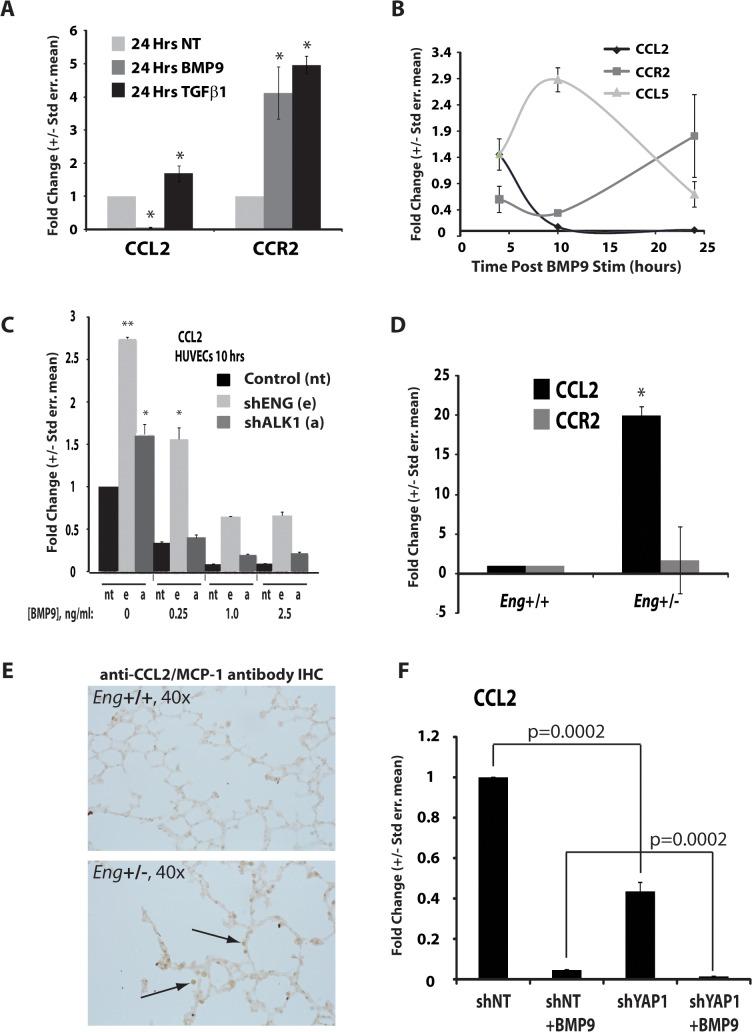 https://cdn.ncbi.nlm.nih.gov/pmc/blobs/47eb/4409298/cbd208e75fb5/pone.0122892.g006.jpg